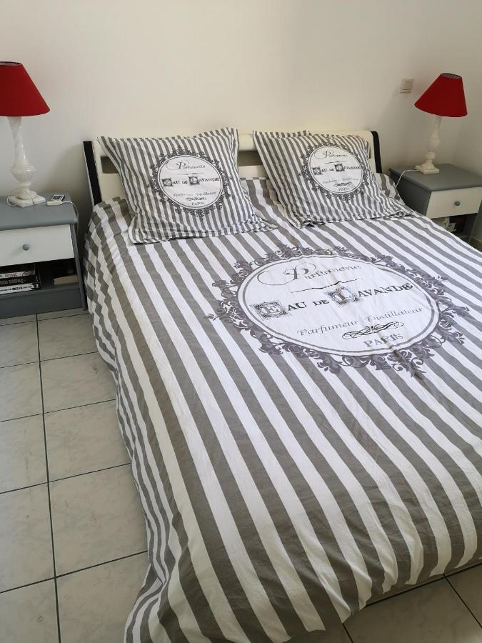 Appartement De 105M2, Balcon Sur Cours De La Republique Narbonne Luaran gambar